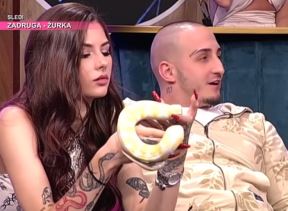 uki q zmija