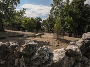 beo zoo vrt zoološki vrt fotografije
