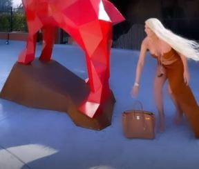 jelena karleusa pipa statuu foto
