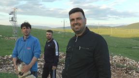 najvece stado ovaca na balkanu pester