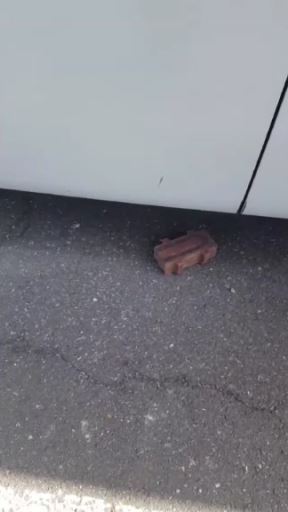 kamenovan autobus u skoplju video