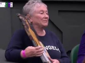 vimbldon navijacica novak djokovic