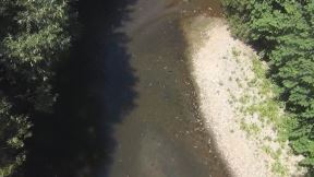 pomor ribe kod požege