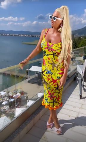 jelena karleusa sofija vergara haljina