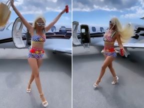 jelena karleuša privatni avion