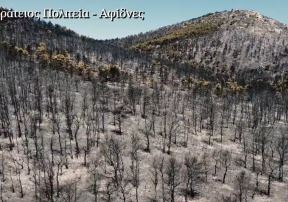 Grčka požari 8