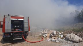 1629022544topola-pozar--2-1