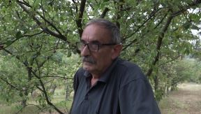 Momir Glišić mašina za kupljenje šljiva (2)