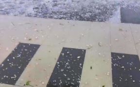 nevreme, tivat 2