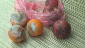 Milutin bajata hrana (3)