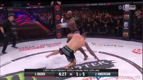 Anderson, Bader (3)