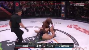 Anderson, Bader (4)