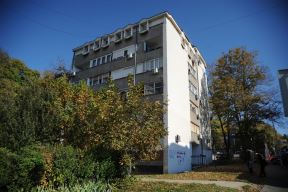 Ubistvo na Čukarici  (11)