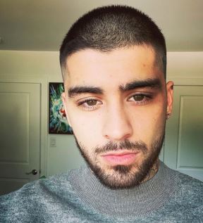 zejn malik3
