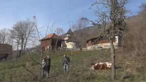 Ubijene životinje (4).jpg