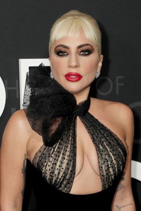 Lady Gaga (3).jpg