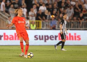domagoj vida.jpg