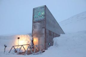 Svalbard noah (5).jpg