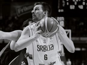 Stevan-Jelovac-8.jpg