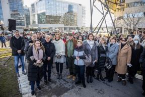 Beograd dobio 225 Pančićevih omorika.jpg