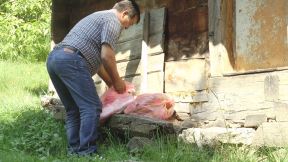 ivanjica-radica-brkusanin-zivi-kao-gorstak-fotorina6.jpg