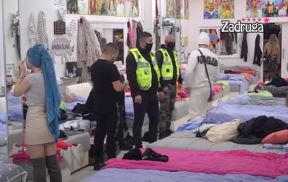 zadruga-3.jpg