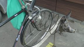 čačak metalna skulpura prase  (2).jpg