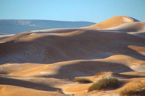 Sneg u Sahari, Pustinja Sahara, Sneg (1).jpg