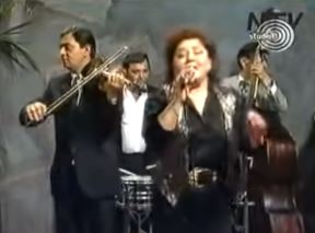 Vida Pavlović