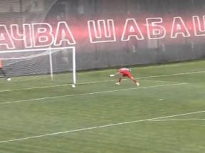 Gordić autogol.jpg