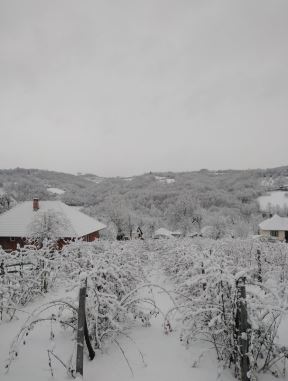 Oglas, Milan, Ženidba, Gojina Gora (2).jpg