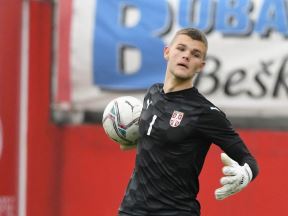 aleksa todorović