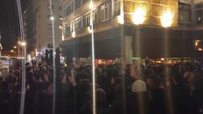 Transparent Delije Navijači (3).jpg