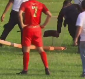 Zmija 2.jpg