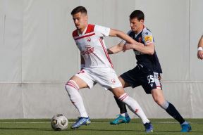 Crvena Zvezda. Voždovac (4).jpg