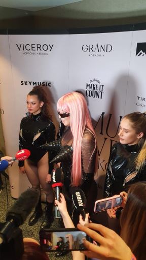 Jelena Karleuša (3).jpg