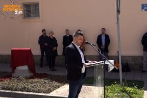 Sremska Mitrovica spomenik  (3).jpg