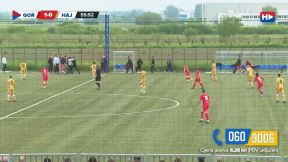 hajduk, tuca na utakmici (1).jpg