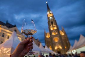 Novi Sad ,Trg slobode, Interfest, vino, katedrala, autor Aleksandar Milutinović.jpg