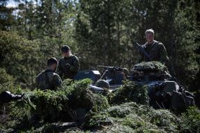 Švedska i Finska armija (1).jpg