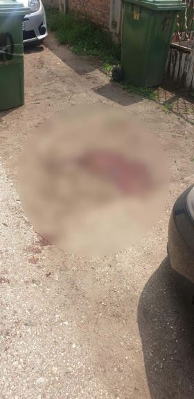 pucnjava surčin 3.jpg