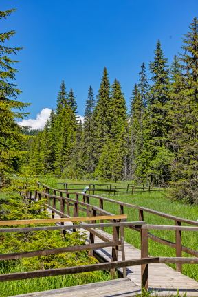 Kopaonik_fotografija 2.jpg