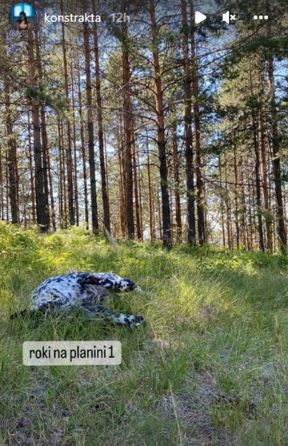 konstrakta-3.jpg