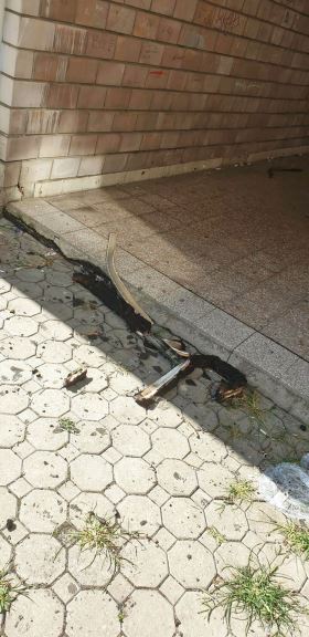 Pozar Novi Beograd (4).jpg