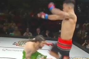 ufc 3.jpg
