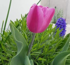 biljana-3.jpg