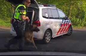 holandska policija.jpg