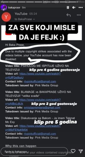 baka prase.jpg