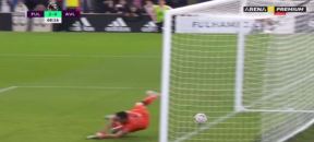 Aleksandar Mitrović gol  (3).jpg