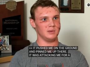 Screenshot_4.jpg